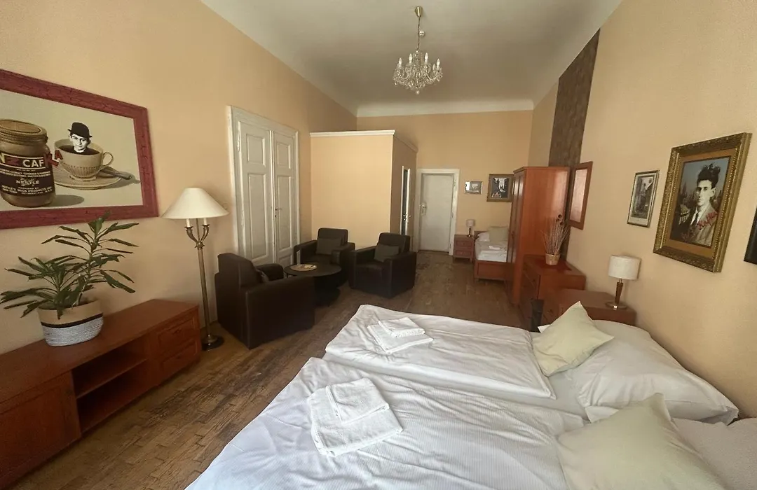 Pension Karlova-1